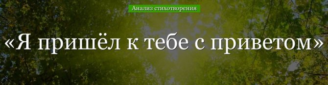 Анализ стихотворения «Я пришёл к тебе с приветом» Фета