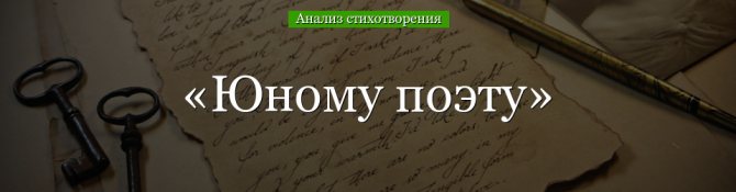 Анализ стихотворения «Юному поэту» Брюсова