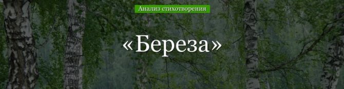 «Береза» анализ стихотворения Есенина по плану кратко – метафоры, главная мысль, эпитеты