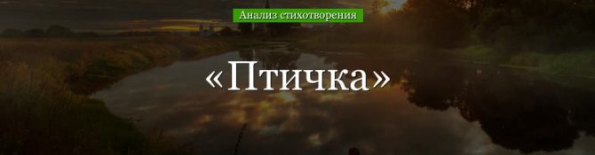 «Птичка» анализ стихотворения Державина по плану кратко – рифма, разбор, главная мысль, эпитеты